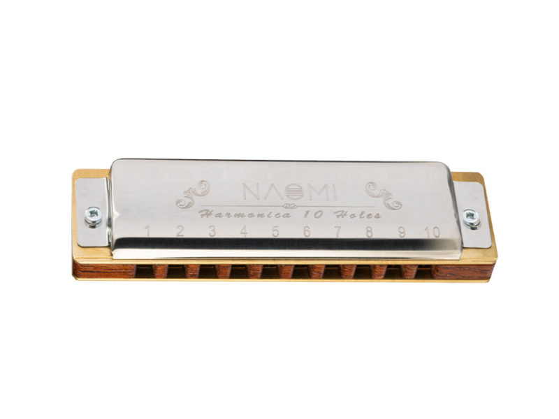 NAOMI 10 trous Blues Harmonica palissandre peigne en laiton Reed Harmonica diatonique en clé de C pour joueur professionnel