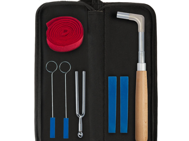 NAOMI Kit d'outils de réglage de Piano professionnel couleur poignée en bois tige droite octogonale Hammer cale en caoutchouc muet