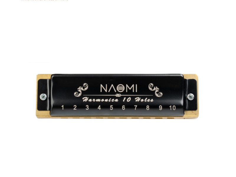 NAOMI 10 trous professionnel Blues Harmonica peigne acrylique anches en laiton clé C avec étui noir