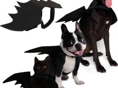 Halloween chat chauve-souris ailes collier harnais décor chiot chat noir chauve-souris …