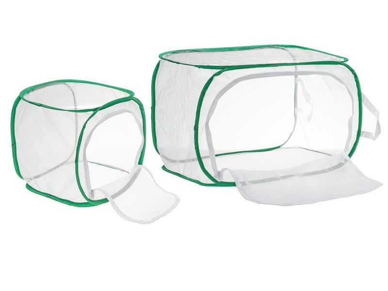 Vert Insectes Pliables Habitat Cage Papillon …