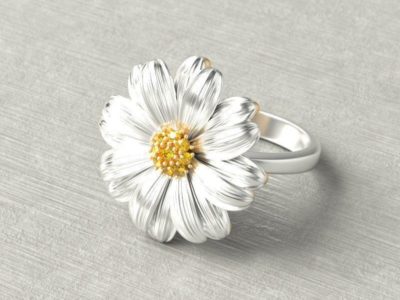 À la mode chrysanthème petite fleur …