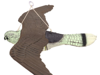 3D chasse leurre volant Falcon faucon …