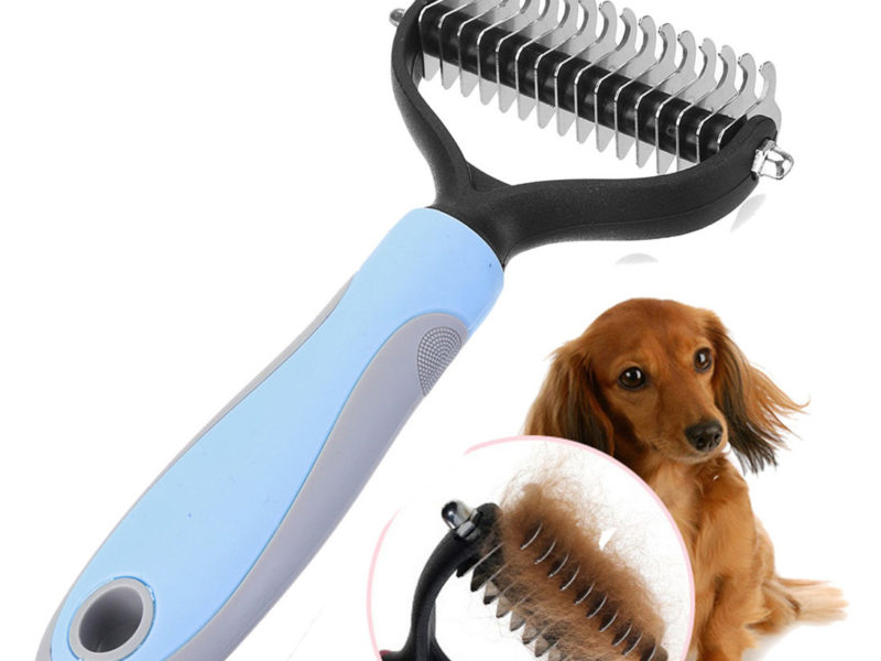 Brosse de nettoyage pour chiens Brosse …