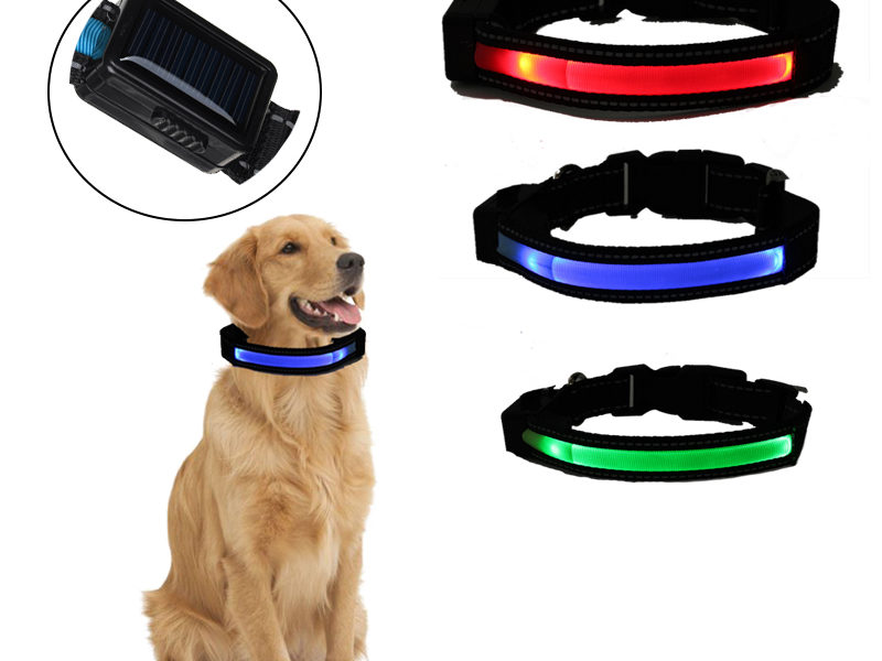 Collier de chien LED Anti-perte solaire …