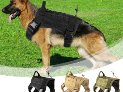 Chasse Chien Militaire Camouflage Gilet Tactique Pet Chien Vêtements En Plein …