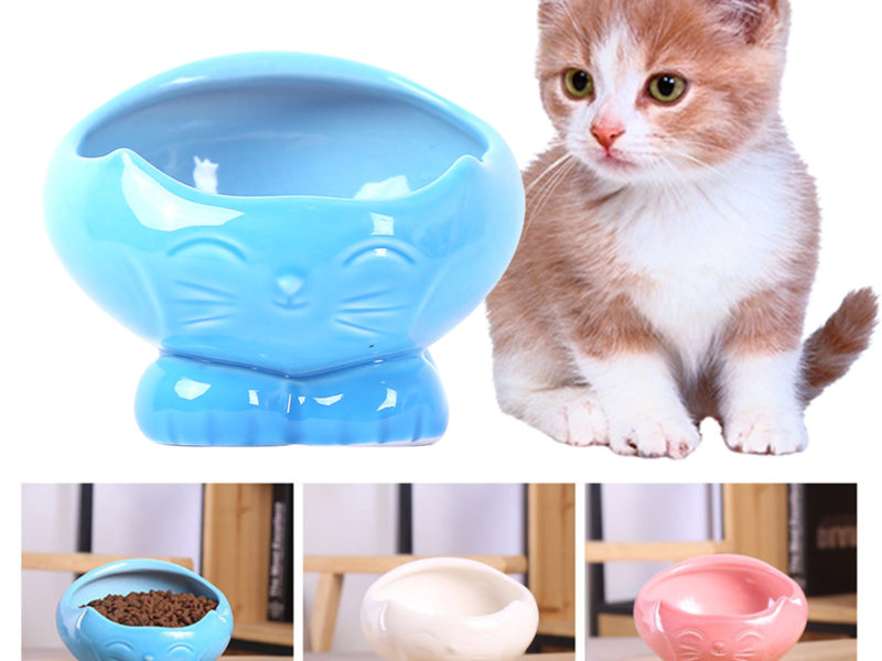 Chats Nourrir Pet Bowl Food Bol …