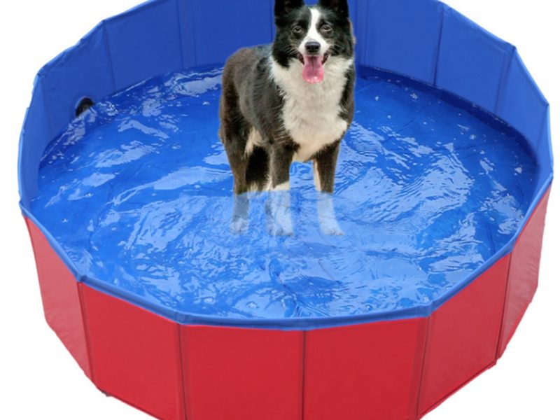 60/100 cm Pliant Chien Baignoire Piscine …