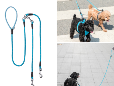 Jordan & Judy® Laisse pour chien …