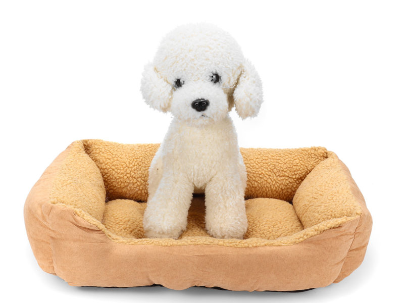 Matelas pour animaux de compagnie Matelas …