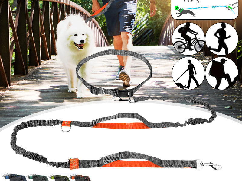 Ceinture de taille réglable pour chien …