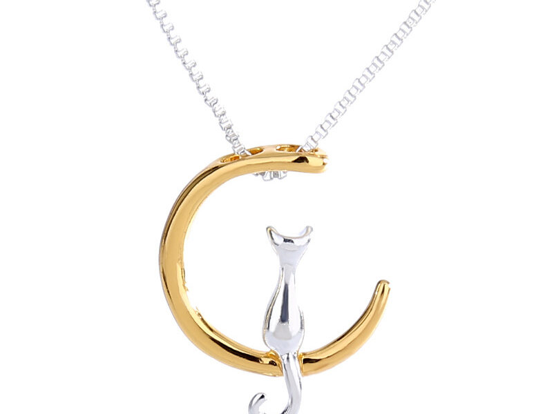 Tendance collier de chat de lune …