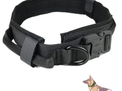 Collier de chien tactique Nylon imperméable réglable libération …